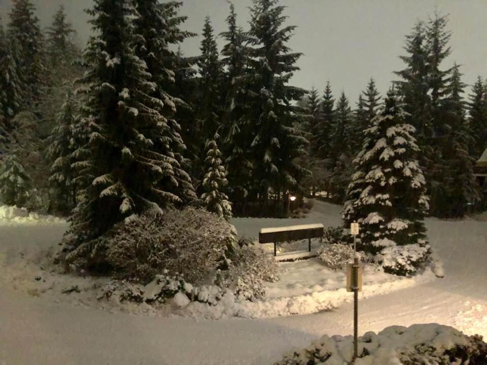 Powderhorn By Whistler Blackcomb Vacation Rentals Kültér fotó